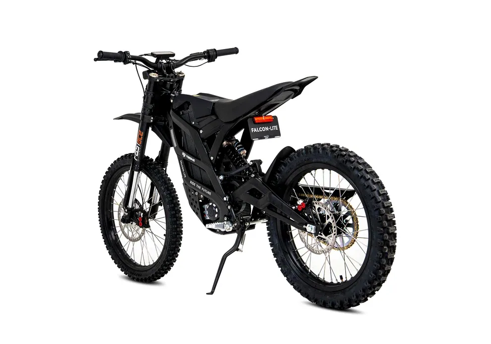 79BIKE Falcon Lite alternate rear view